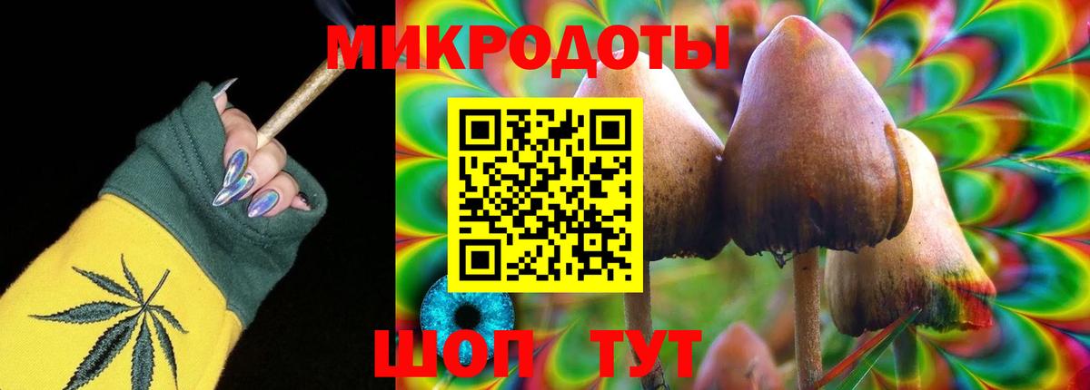 Балтийск  Псилоцибиновые грибы прущие грибы  Вход с VPN 